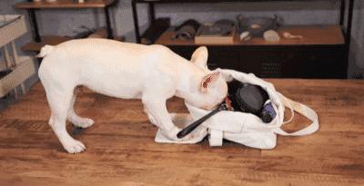 包包乱糟糟，这几招让你闭眼就能找东西