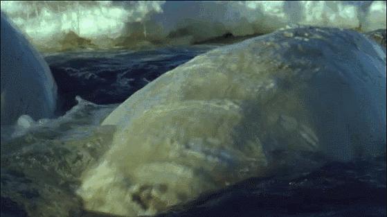 等了你十七年,等了17年