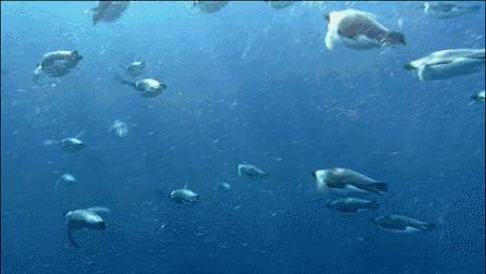 等了你十七年,等了17年