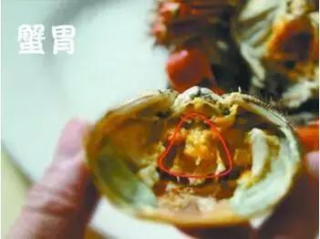 又是一年吃蟹时如何吃蟹才健康,吃蟹的最佳时间和禁忌