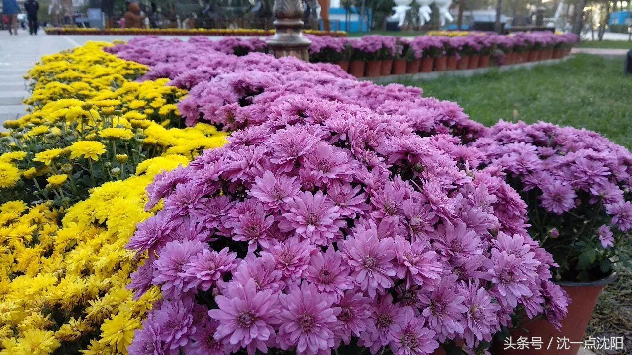 寻味老街的旧时光,寻味老街探秘传统