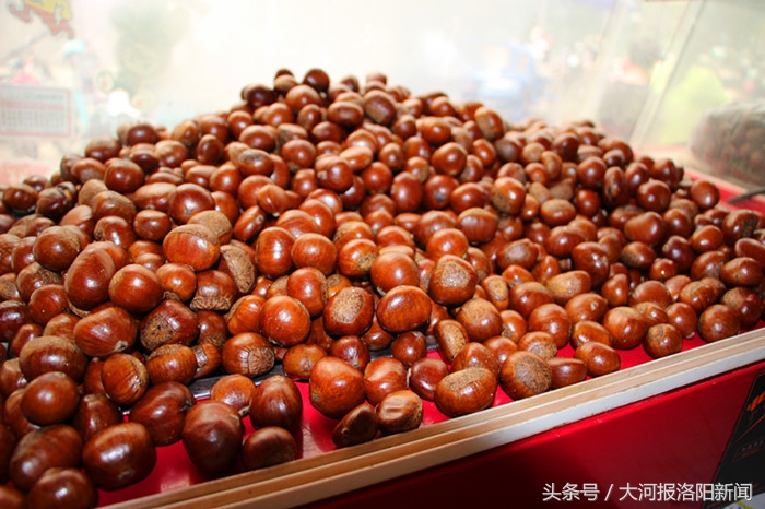 励志哥乞讨月入过万,励志哥一年收入