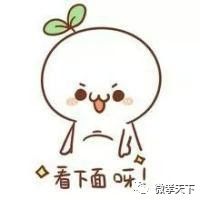 城市管理综合执法体制研究,城市管理执法办法视频专题讲座