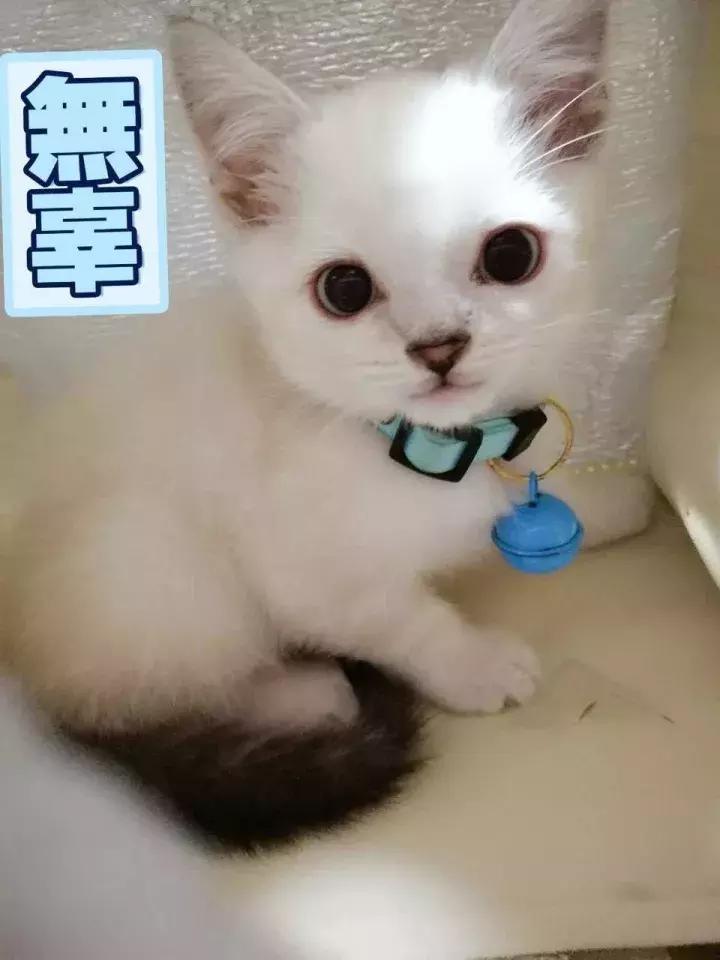 做到这3点根本不会胖,做到这三点二婚