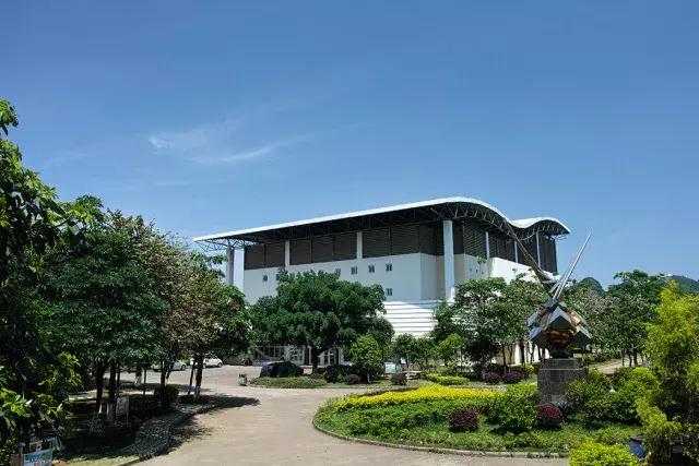 柳州市第十二中学农志勋,柳州市第十二中学许尧