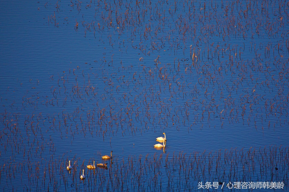 强迫症康复亲身经历,我的强迫症自我治愈
