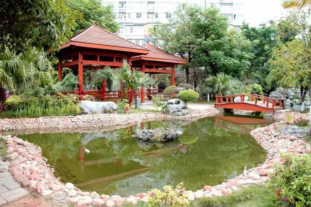 柳州市第十二中学农志勋,柳州市第十二中学许尧