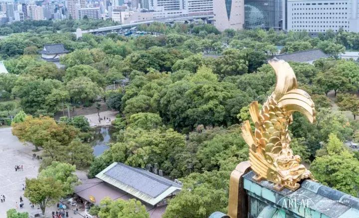 日本大阪旅游三天,大阪玩转日本6天5晚跟团游