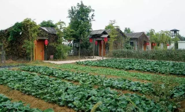 大家好这是我的男朋友日文,大家好这是我男朋友图片