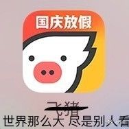 双11淘宝成了截肢工具支付宝成六位数密码两位数余额？