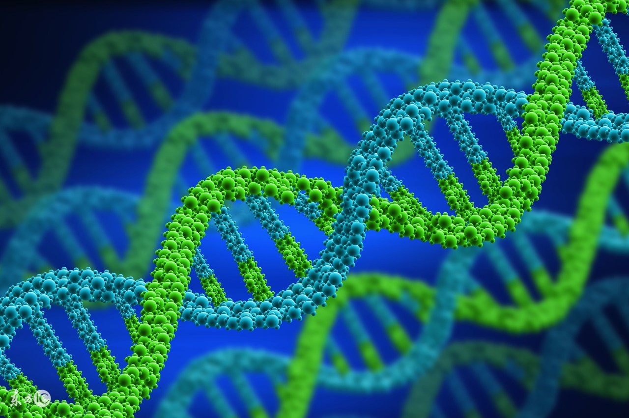 乙肝的基因诊断和治疗,病毒性乙肝最新治疗方式