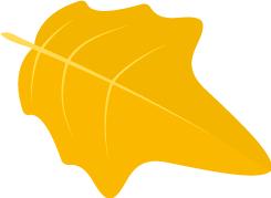 「霍邱老乡请关注」金秋十月：健康扶贫到霍邱