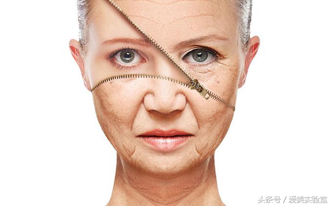 科学实验告诉你到底要不要吃葡萄籽精华来延缓衰老