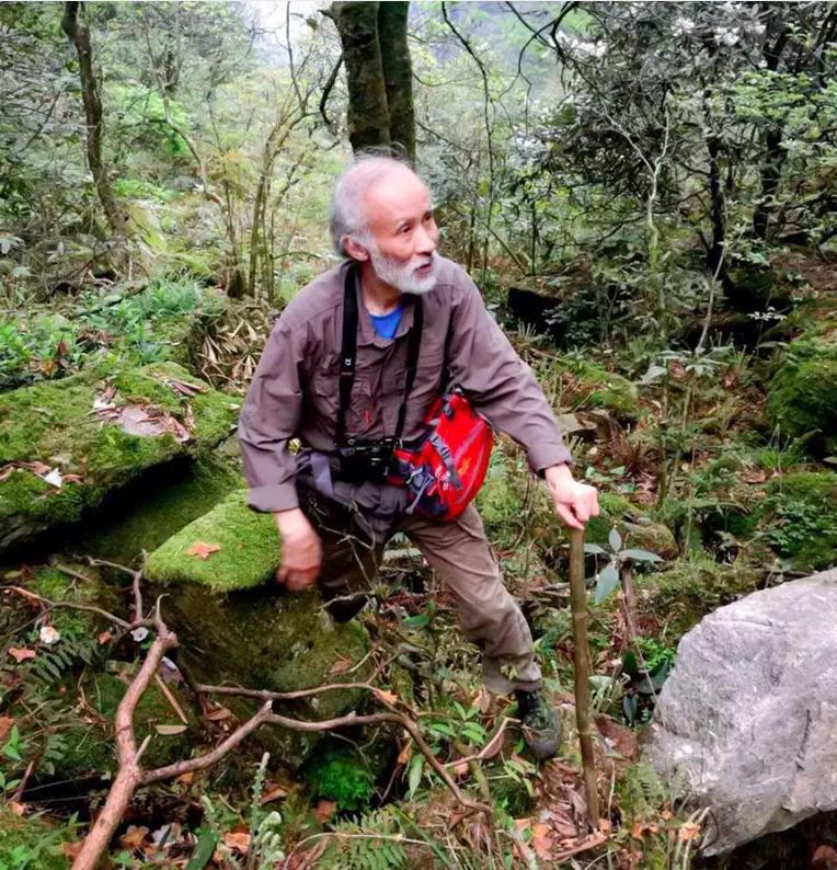 蛇博士告诉我们被蛇咬伤如何自救,被蛇咬了100次