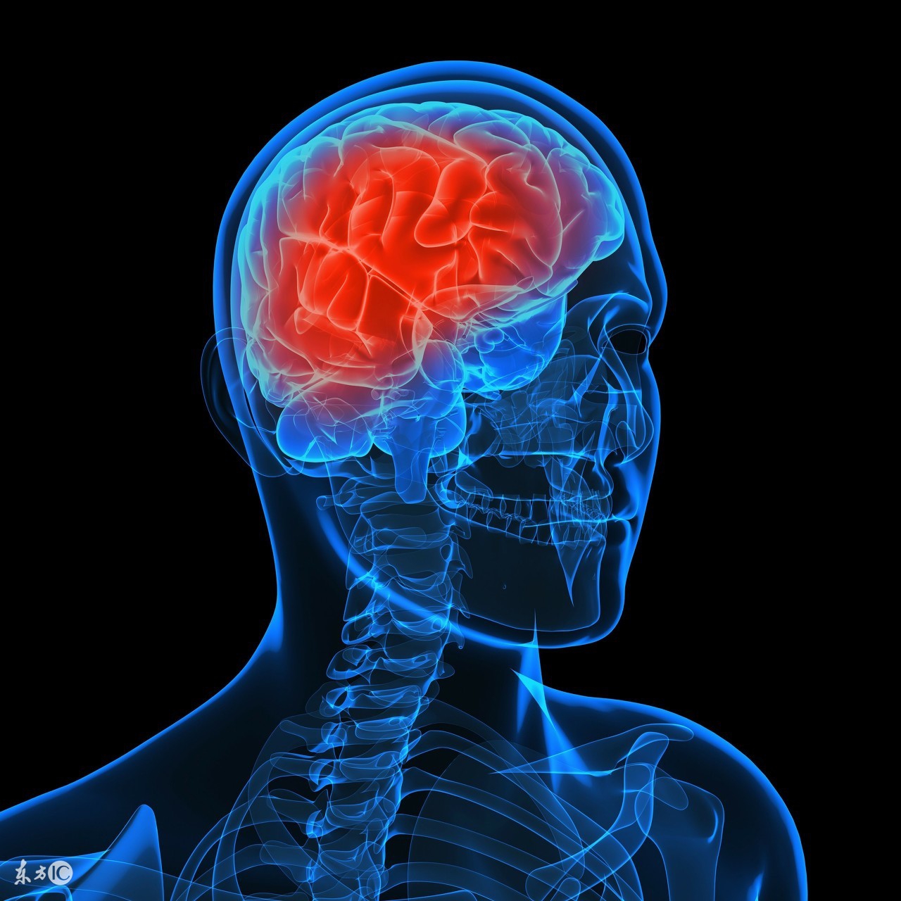 脑供血不够头晕仪器,脑供血不够眩晕治疗仪