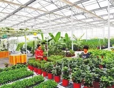 天津静海区2020年发展规划,天津市静海区2024年重点发展