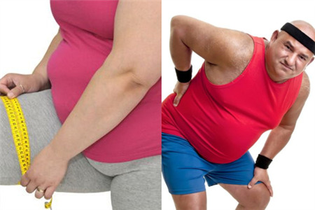 什么是虚胖,如何改善虚胖体质