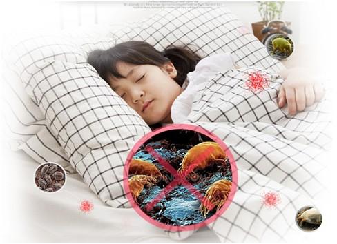 纯天然棕床垫里的虫怎么消灭,床垫用了一年多生虫是质量问题吗