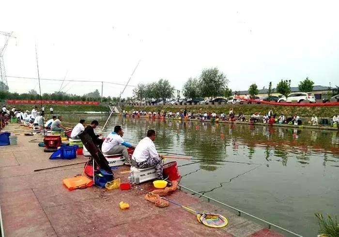 行营钓具比赛视频,行营钓鱼比赛现场直播