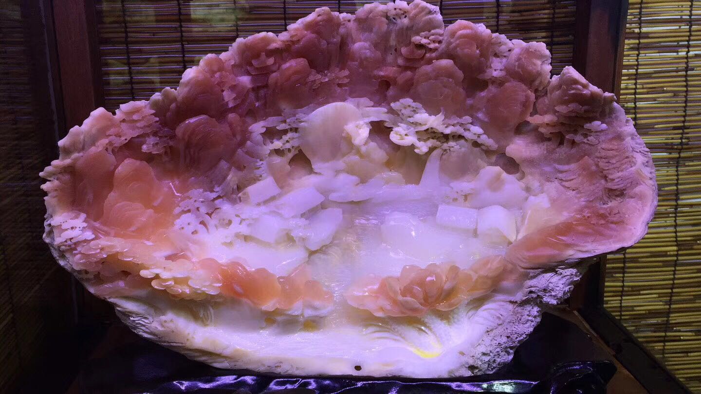 海洋滋养,砗磲应该如何盘玩