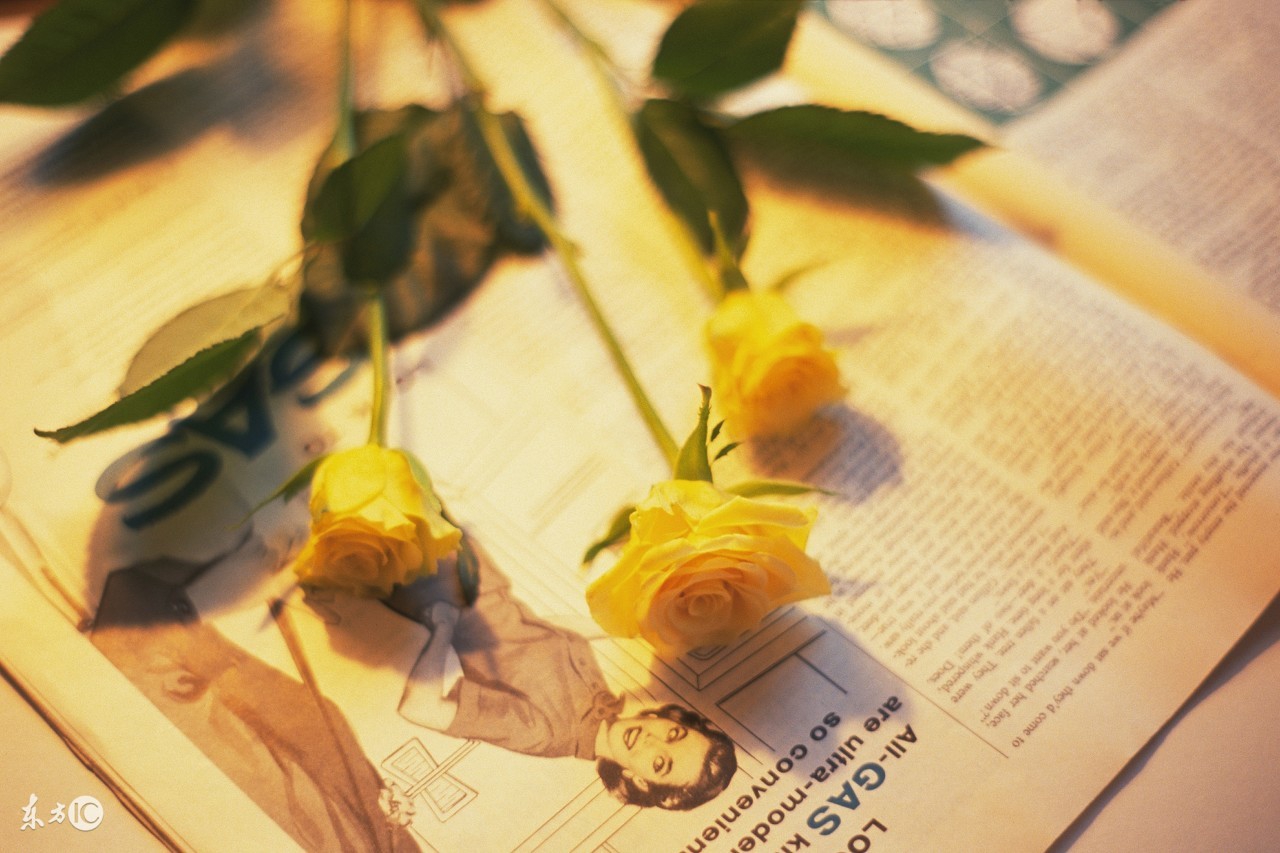 最新感情美文,感情美文