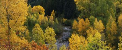 山西方山县旅游景点,山西省方山县旅游景点有哪些