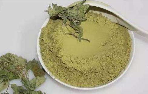 艾叶是女人的养生草艾叶的那些功效，应该早点知道