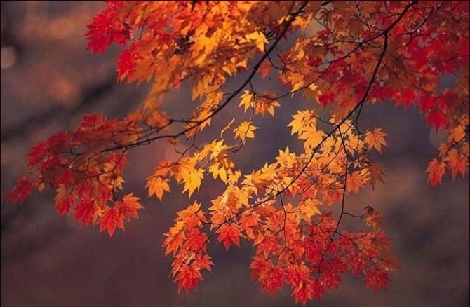 陵川我的故乡,原来的陵川