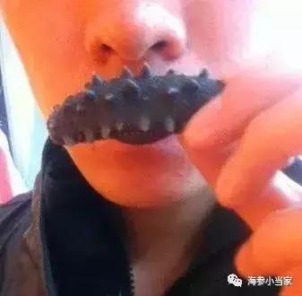 选海参的正确方法视频,如何选好吃的海参