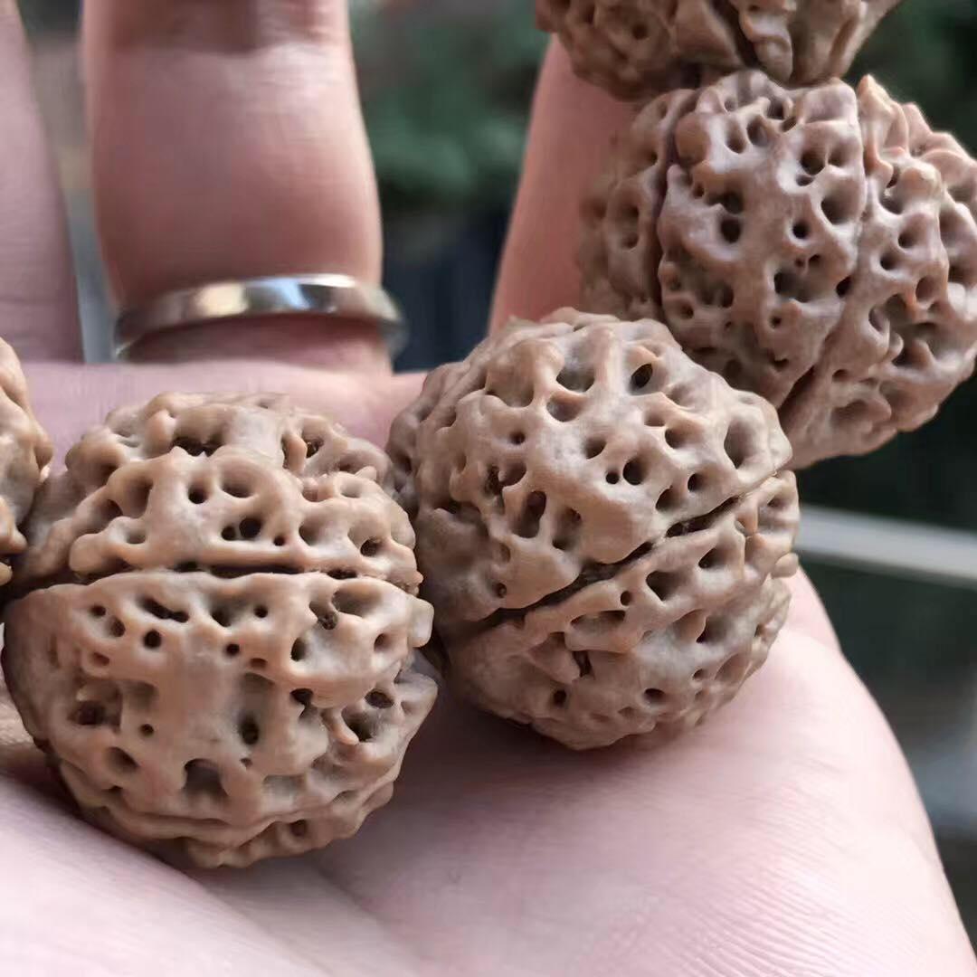 尼泊尔大金刚菩提手串怎么看好坏,大金刚菩提五瓣尼泊尔籽高油高密
