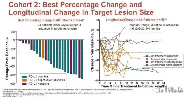 靶向免疫疗法,靶向药物治疗肿瘤机制