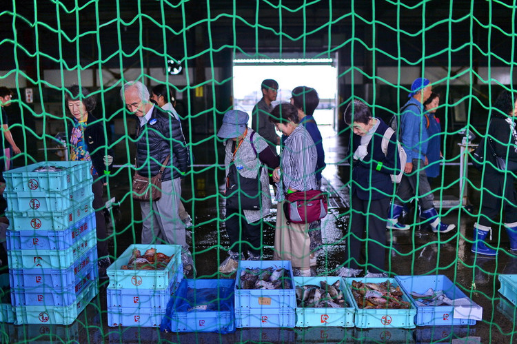 游日本北海道攻略,日本深度游北海道