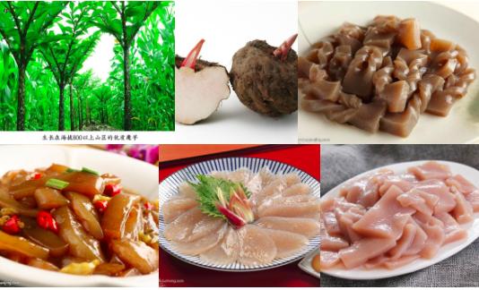 魔芋是个什么植物,魔芋这种植物是怎么来的