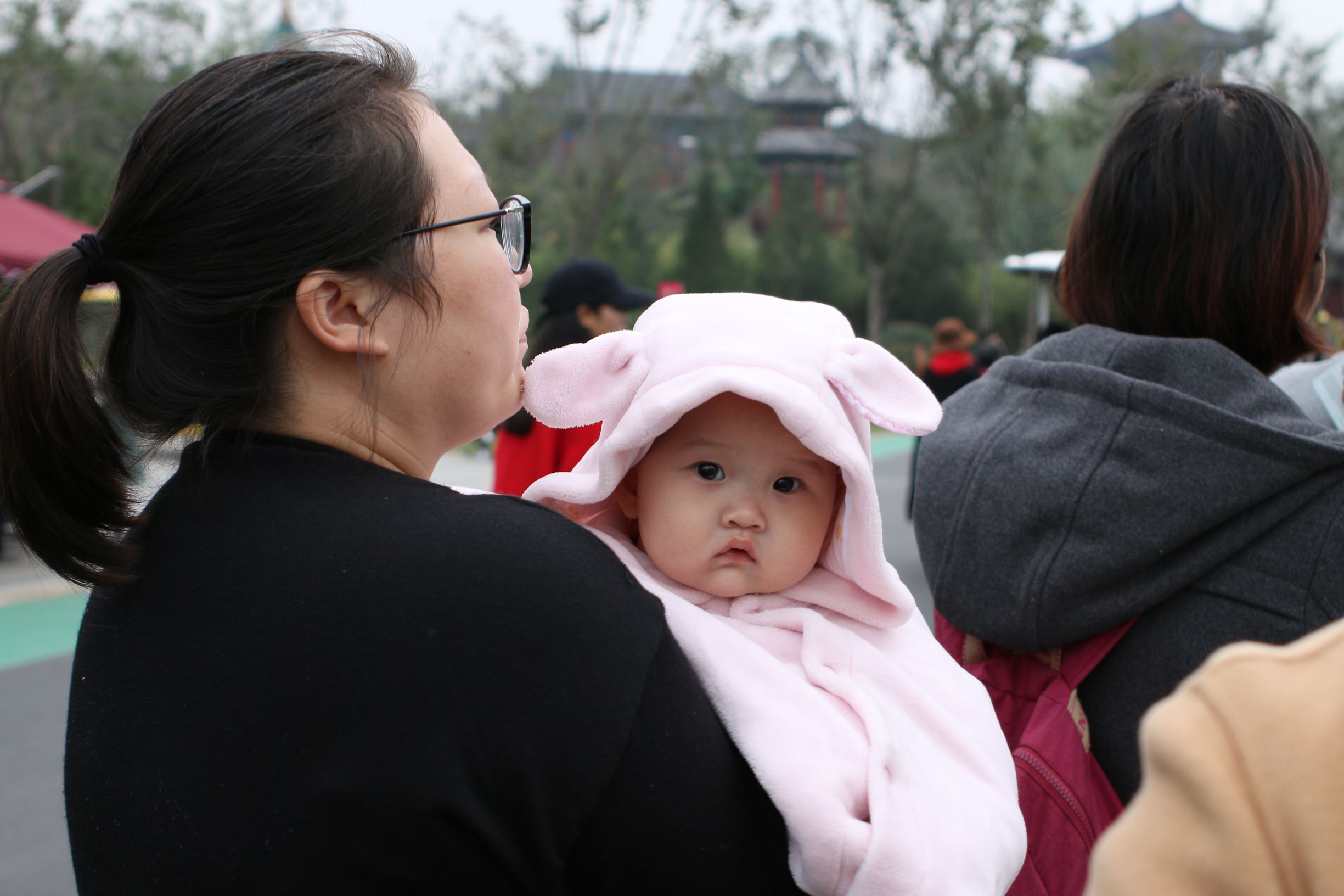 国产镜头到底怎么样？中一35f2亲测请看未经ps处理的原图