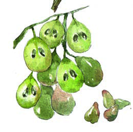 秋冬季节让你的皮肤更保湿,秋冬皮肤变得干燥