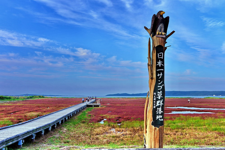 游日本北海道攻略,日本深度游北海道