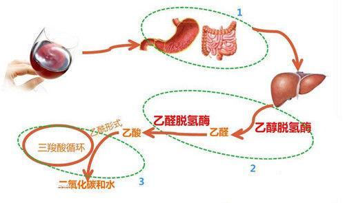 吃药后喝酒中毒什么症状,服药后饮酒会发生什么反应