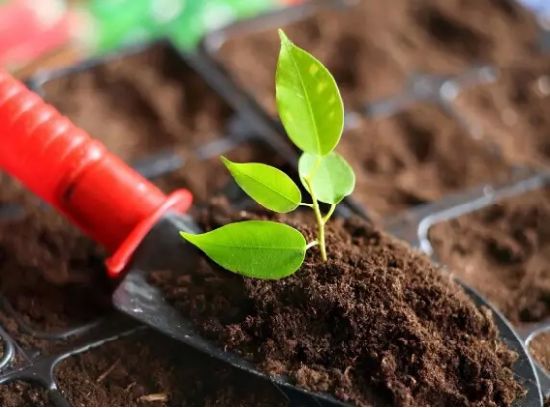 土壤酸碱度偏高有什么危害,土壤偏碱性对农作物的危害