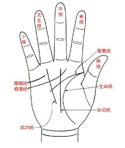 你是不是通灵体质,通灵体质学什么