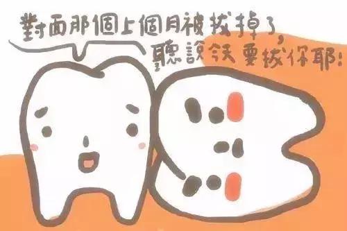 我只有28颗牙齿正常吗,一排只有14颗牙齿正常吗