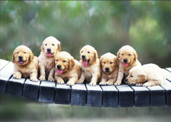 photoshop调整曲线教程,photoshop曲线技巧和修图教程