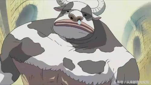 海贼王有多少人出场,海贼王一共出现了多少个人物