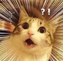 重视肝癌早诊早治提高肝癌生存率,肝癌一发现即是晚期早预防早治疗