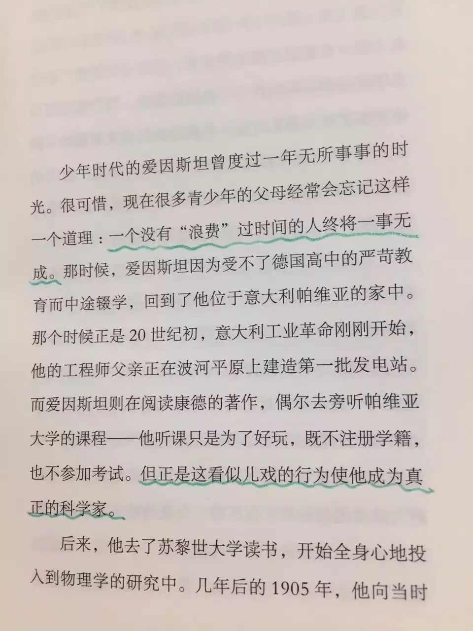 我的耻辱我的悔恨讲的是什么故事,我的耻辱解析