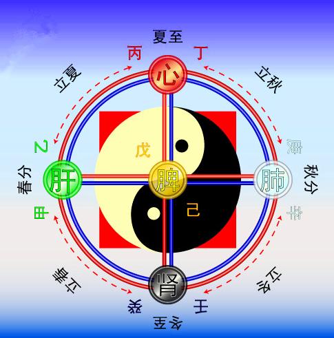我学中医基础——我学习五行（附治疗应用案例一则）