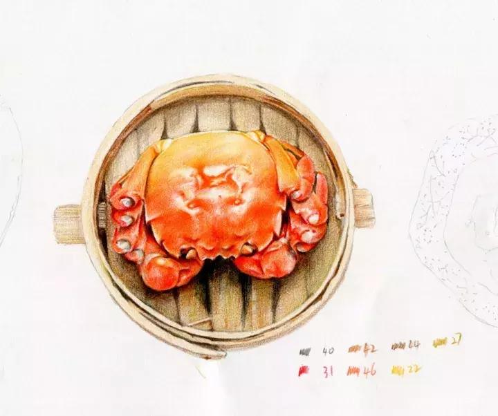 真正的螃蟹不知道怎么画吗,真正的螃蟹是怎么画的