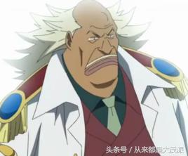 海贼王有多少人出场,海贼王一共出现了多少个人物