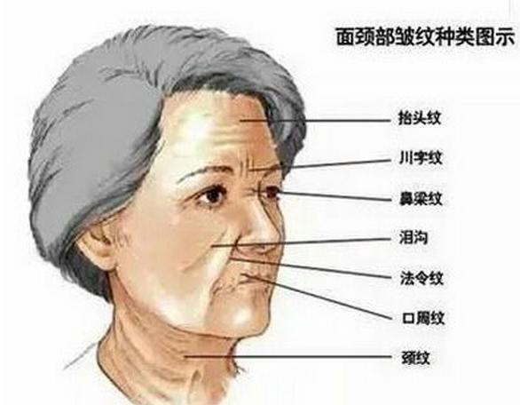 抵抗地心引力的面部训练,如何对抗地心引力让皮肤不下垂