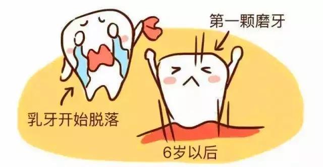 我只有28颗牙齿正常吗,一排只有14颗牙齿正常吗