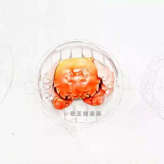 真正的螃蟹不知道怎么画吗,真正的螃蟹是怎么画的